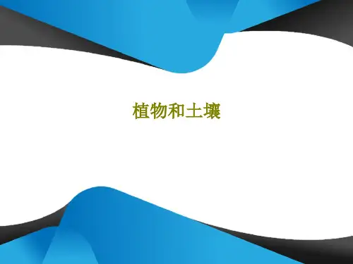植物和土壤38页PPT