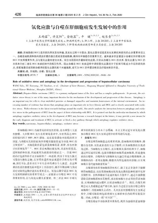 氧化应激与自噬在肝细胞癌发生发展中的作用 王雨露