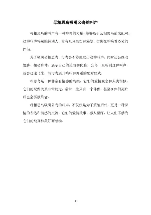 母相思鸟吸引公鸟的叫声