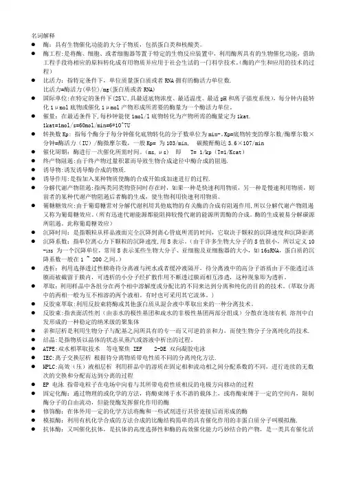 酶工程-重点