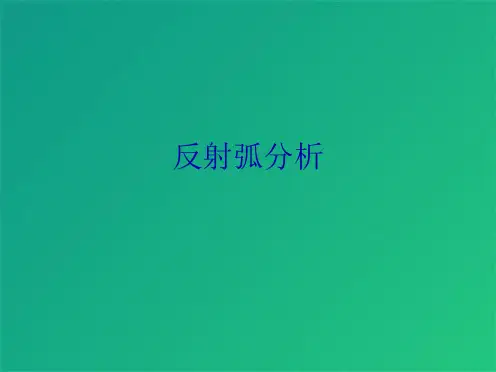 反射弧分析(共7张PPT)