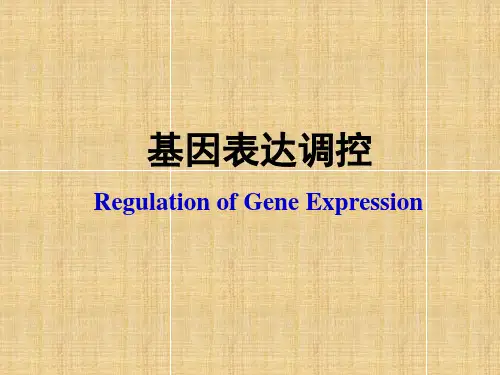 基因表达调控