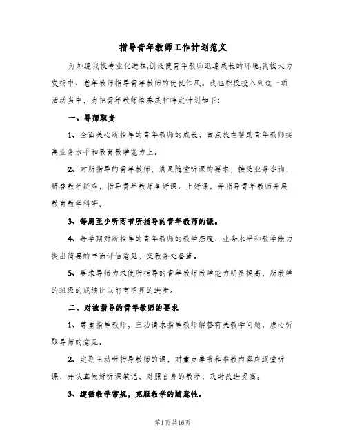 指导青年教师工作计划范文(8篇)