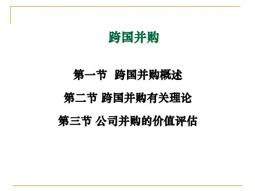 跨国并购案例介绍(PPT 67页)