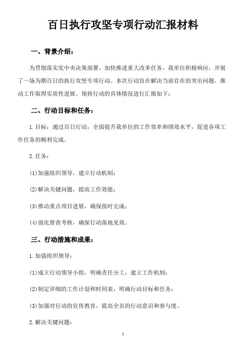 百日执行攻坚专项行动汇报材料