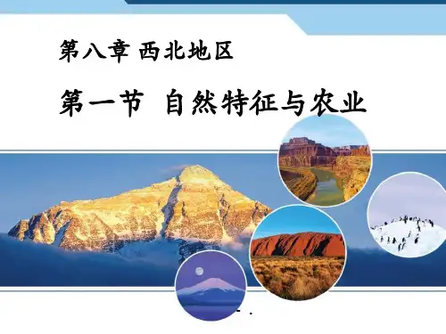 《自然特征与农业》西北地区PPT课件