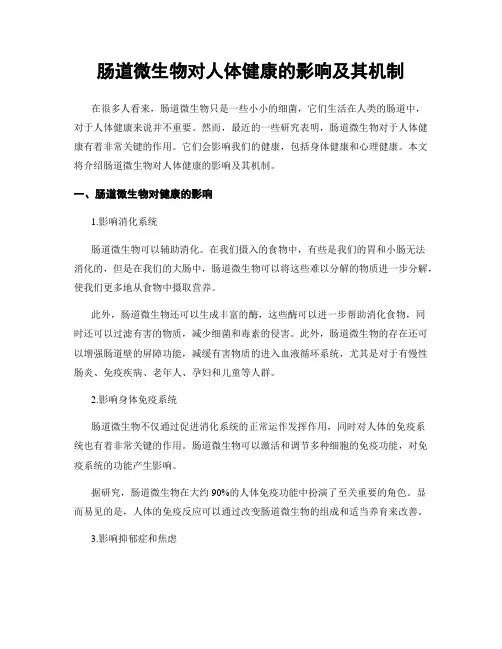 肠道微生物对人体健康的影响及其机制