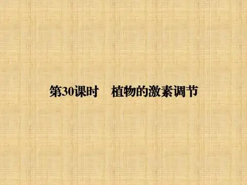 高考历史一轮复习人教版植物的激素调节名师公开课优质课件(93张)(1)