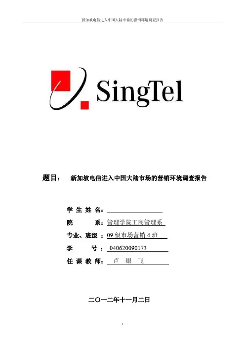 新加坡市场调查报告分析