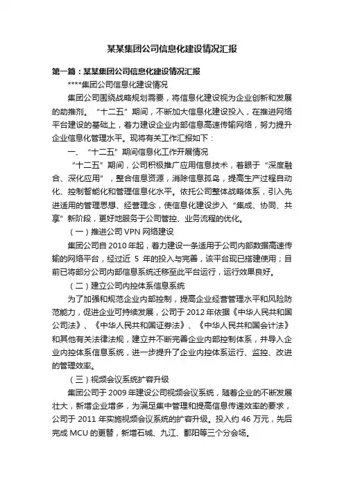 某某集团公司信息化建设情况汇报
