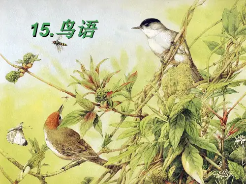 (苏教版四年级下册)15.鸟语