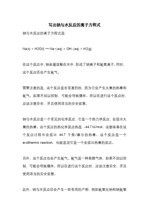 写出钠与水反应的离子方程式