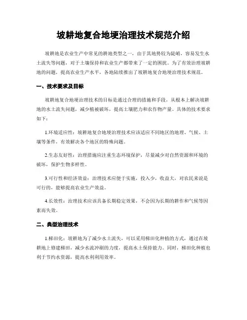 坡耕地复合地埂治理技术规范介绍
