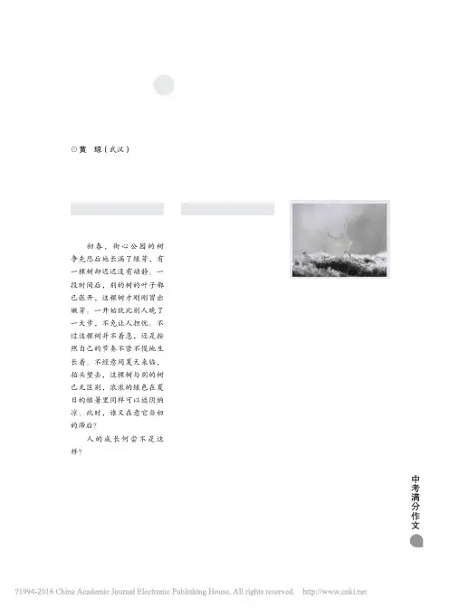 2015年湖北省武汉市中考作文题解与例析_黄琼