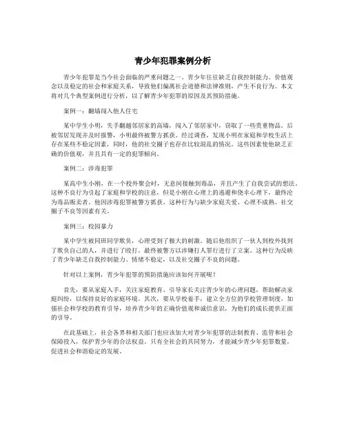 青少年犯罪案例分析