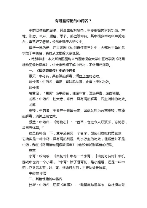 有哪些惊艳的中药名？