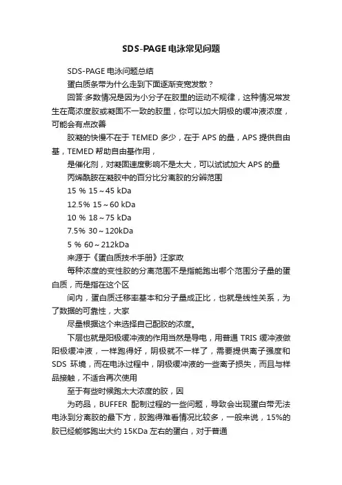 SDS-PAGE电泳常见问题