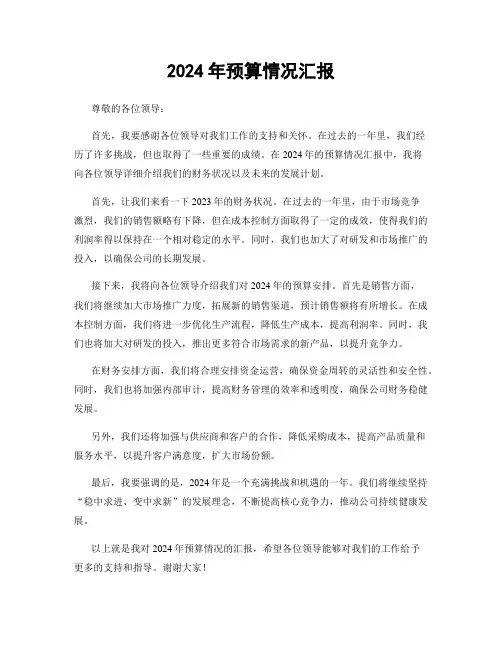 2024年预算情况汇报