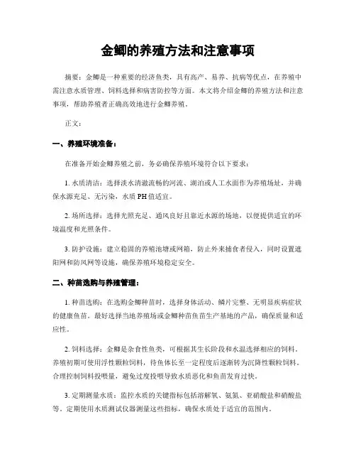 金鲫的养殖方法和注意事项