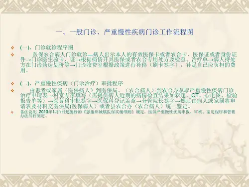 医保PPT课件