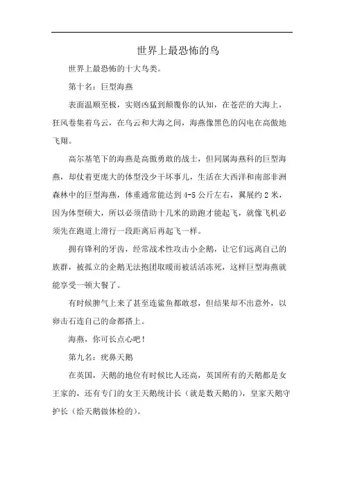 世界上最恐怖的鸟