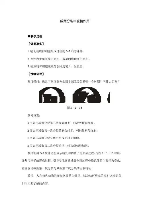 人教版高中生物必修二《减数分裂和受精作用》教案设计