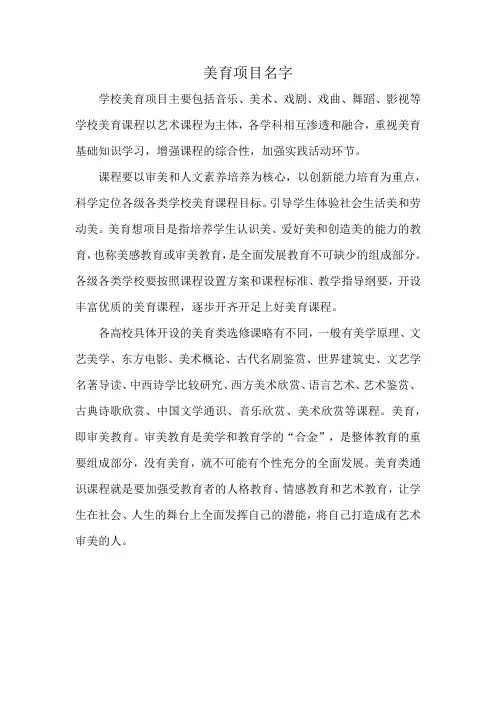 美育项目名字