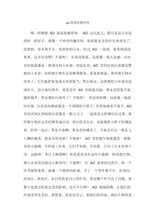 ao脱氮除磷原理