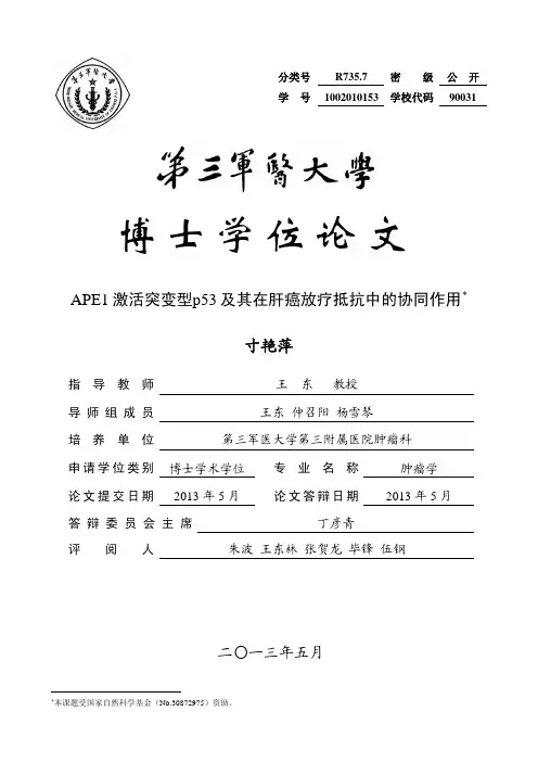 ape1激活突变型p53及其在肝癌放疗抵抗中的协同作用