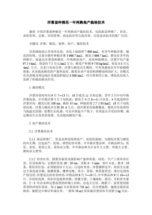 洋葱套种棉花一年两熟高产栽培技术
