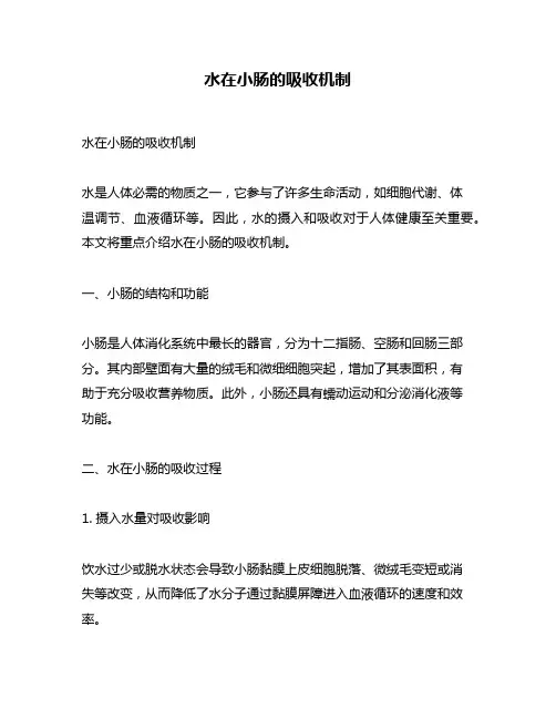 水在小肠的吸收机制