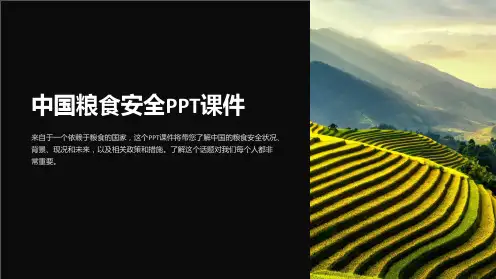 《中国粮食安全》课件