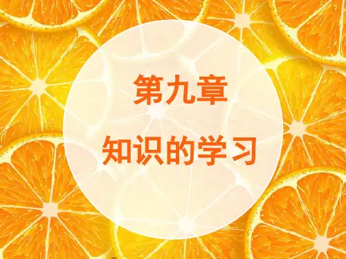 教育心理学 第九章知识的学习