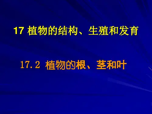 普通生物学-17-2-植物的结构、生殖和发育-植物的根、茎和叶