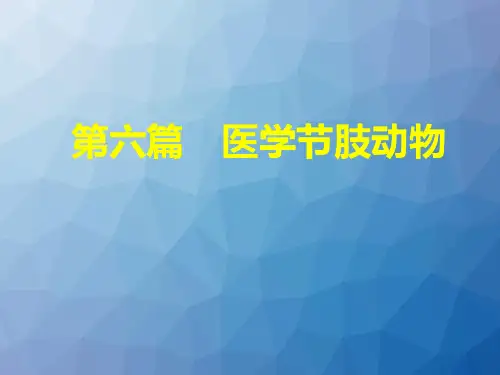 医学节肢动物  ppt课件