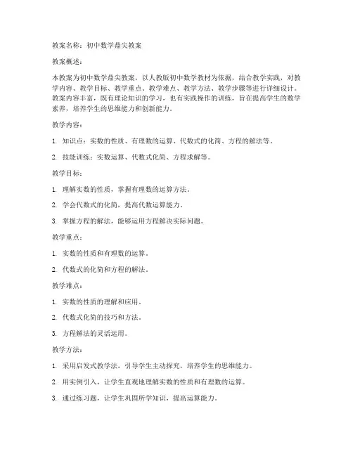 鼎尖教案pdf初中数学