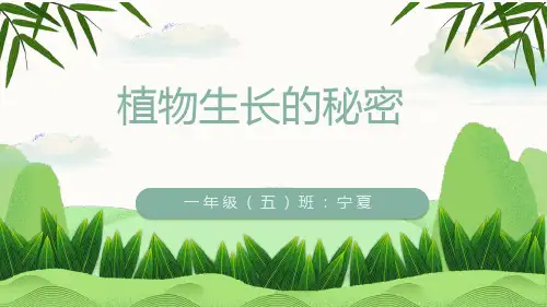 植物生长的秘密