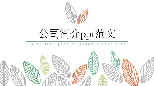 公司简介ppt范本模板