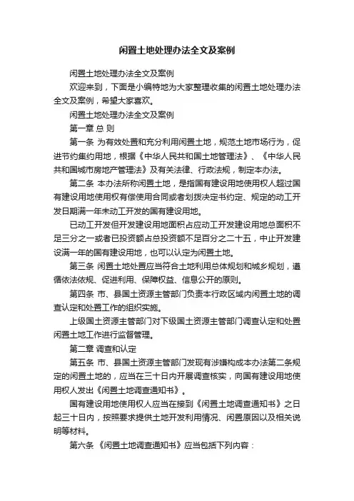 闲置土地处理办法全文及案例