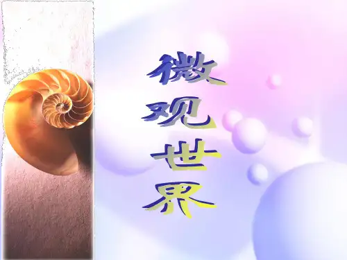 【人教版】五年级美术下册第14课-优质课件-《微观世界》
