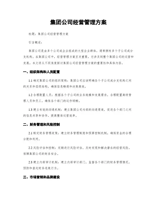 集团公司经营管理方案