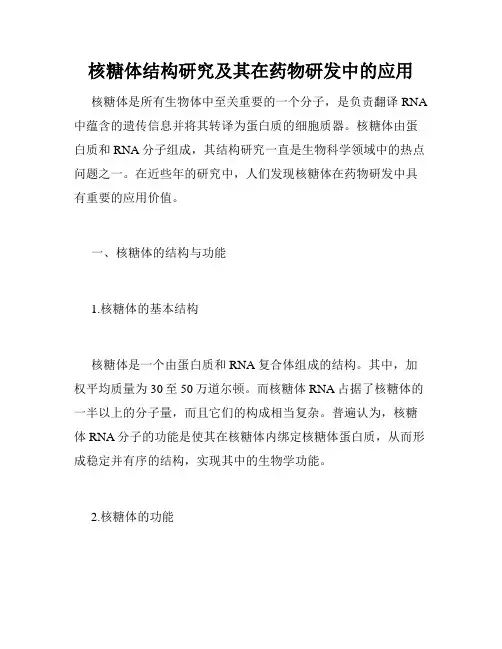 核糖体结构研究及其在药物研发中的应用