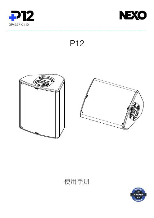 雷鸟 P12 用户手册