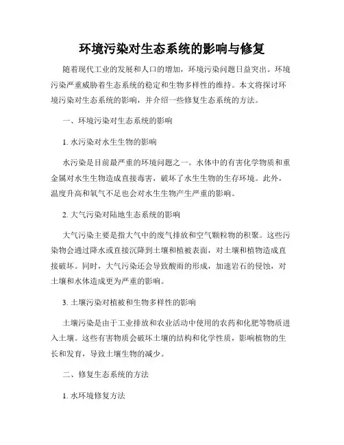 环境污染对生态系统的影响与修复