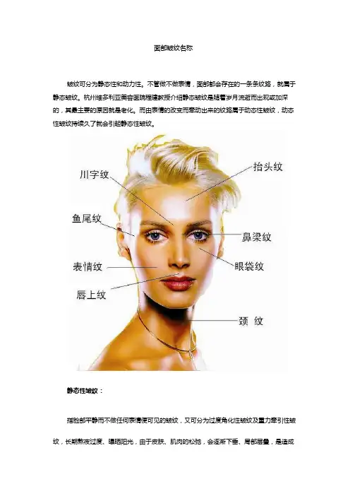 面部皱纹名称