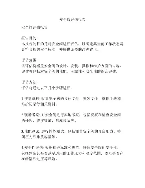 安全阀评估报告