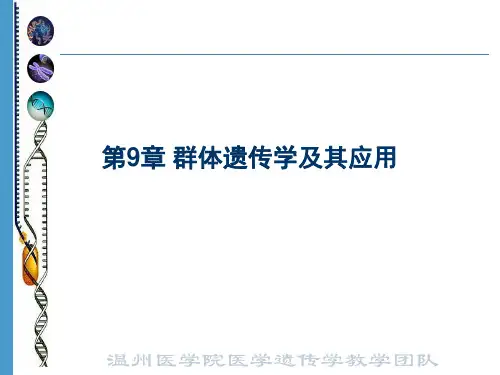 群体遗传学PPT课件