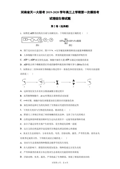 河南省天一大联考2019-2020学年高三上学期第一次模拟考试理综生物试题(带答案)