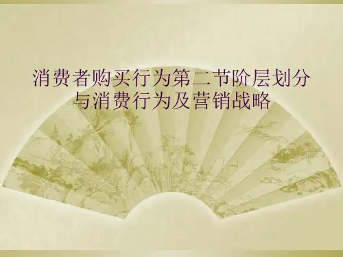 消费者购买行为第二节阶层划分与消费行为及营销战略