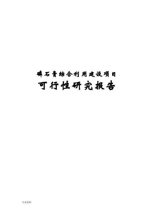 磷石膏综合利用项目可行性研究报告